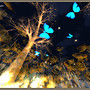 Blue candieS