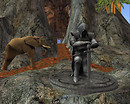 Elephant Tour