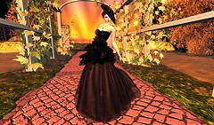Coco 3