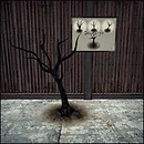 %napoliy% Dead Tree