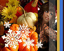 Autum AV Abstract