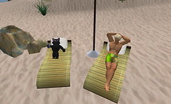 Day at the beach