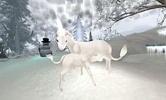 winking unicorn - Torley Olmstead