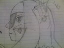 Doodle