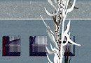 Electric Funeral 01