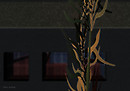 Electric Funeral 03