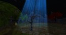 tree of wisdom