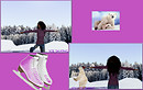 polar bear skating