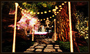 Radiant Bliss Music Project*§*The Forest