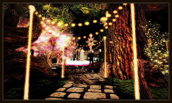 Radiant Bliss Music Project*§*The Forest