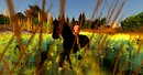 Surreal colours....