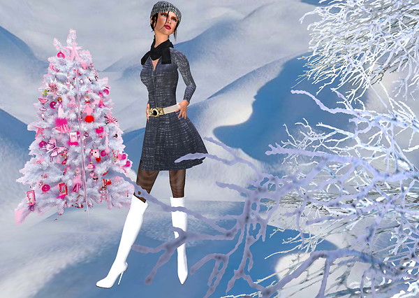 MEB Winter_009