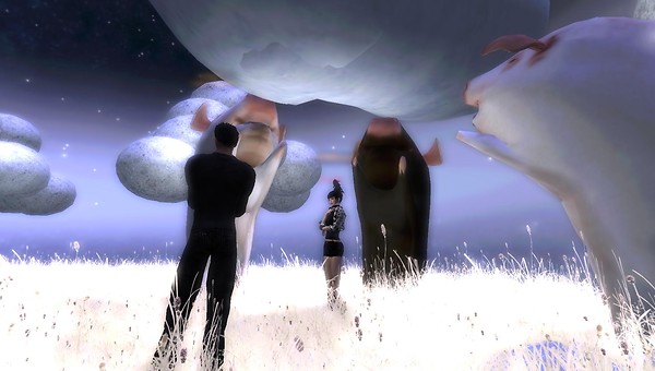 xavier, raftwet at HPMD landing point