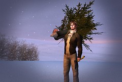 Christmas Tree Cutting 2009