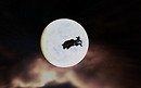 Eve Online: just like ET