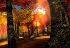 tempura island_002