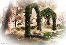 Winterfell Amaranthine