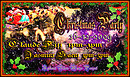 Radiant Bliss Christmas Party 26-12-2009