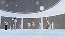 Snow8