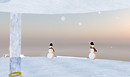 Snow4