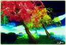 Psychedelic trees