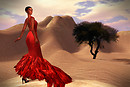 Desert Bird