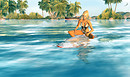 Lynda Surfing
