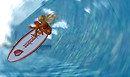 Lynda Surfing