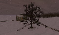 The Quiet: Further Away and Further Apart 08