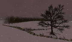 The Quiet: Further Away and Further Apart 06