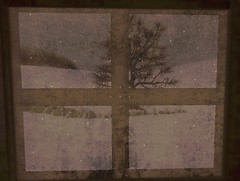 The Quiet: Further Away and Further Apart 05