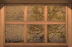 The Quiet: Further Away and Further Apart 03
