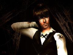 In the Shadow