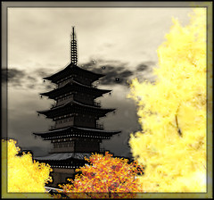 totoronomori