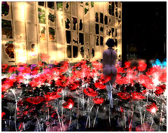 Red Pralou | Walk In The Flowers