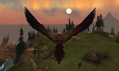 Warbird
