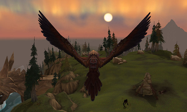 Warbird