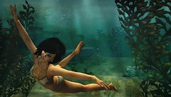 swim (to reach the end)