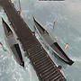 bis_001