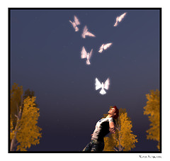 AM Doves