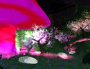 Lemondrop's Forest - Magic
