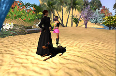 Exploring Elisha's Island