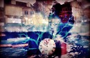 LA MÉCANIQUE DU COEUR