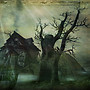 Hercynia's shack