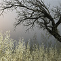 Snapshot_003