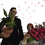 -Leon- Wedding Memories