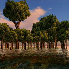 Changeable Forest@Imagine plus space1