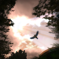 Beam of Hope 2