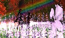 kev&eve zen4_001
