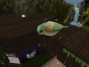giant bird - Jones Rhapsody